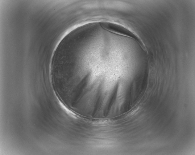X0000053151535200507251828