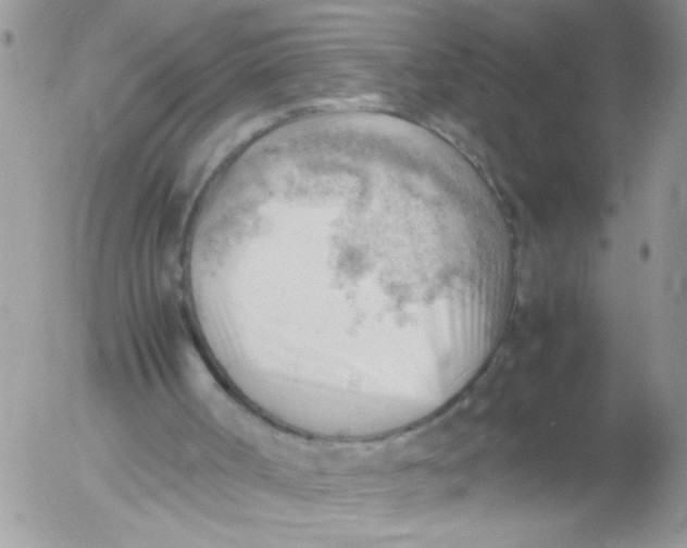 X0000053150002200508012322