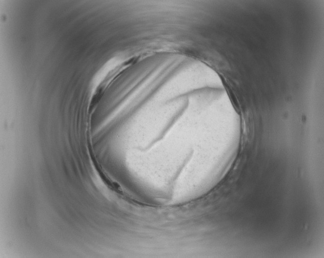 X0000053150003200508012322