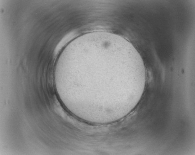 X0000053150004200508012322