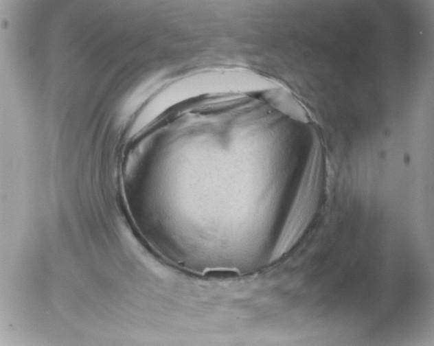 X0000053150005200508012322