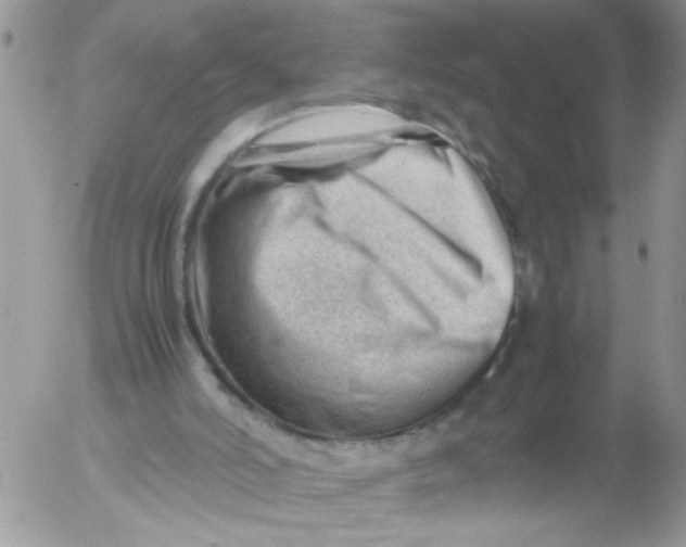 X0000053150006200508012322