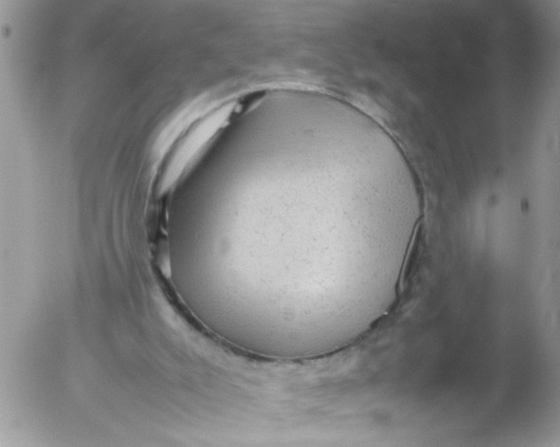 X0000053150007200508012322