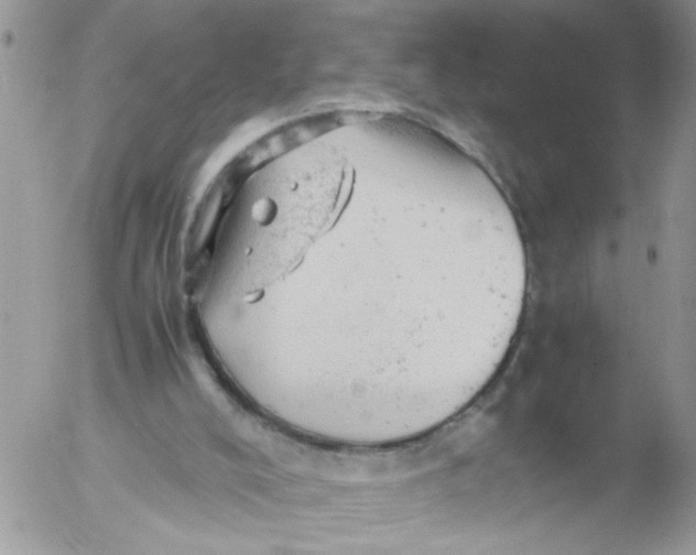 X0000053150008200508012322