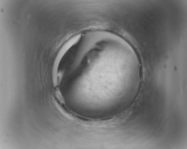 X0000053150009200508012322