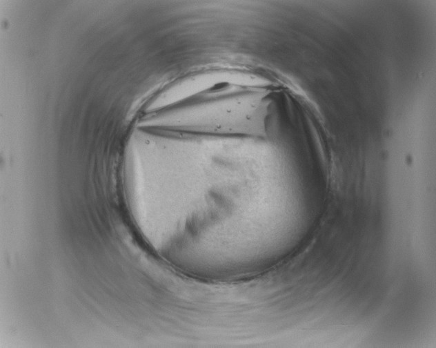 X0000053150010200508012322