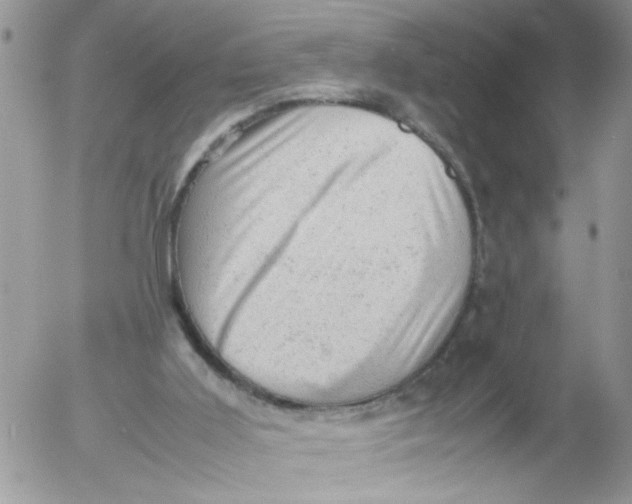 X0000053150011200508012322