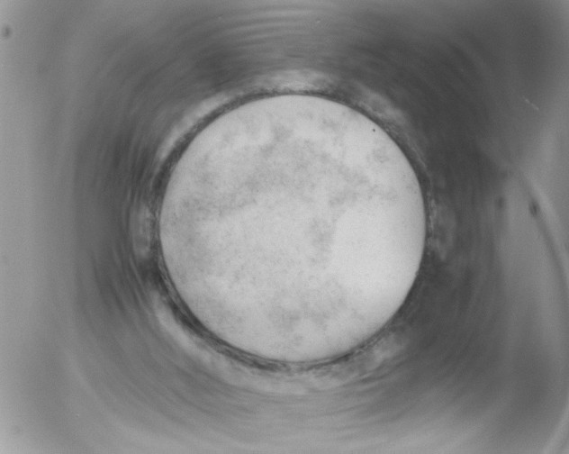 X0000053150012200508012322