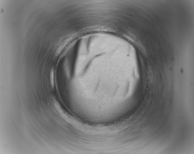 X0000053150014200508012322