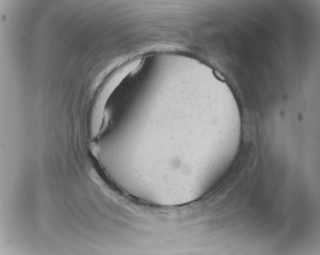 X0000053150015200508012322