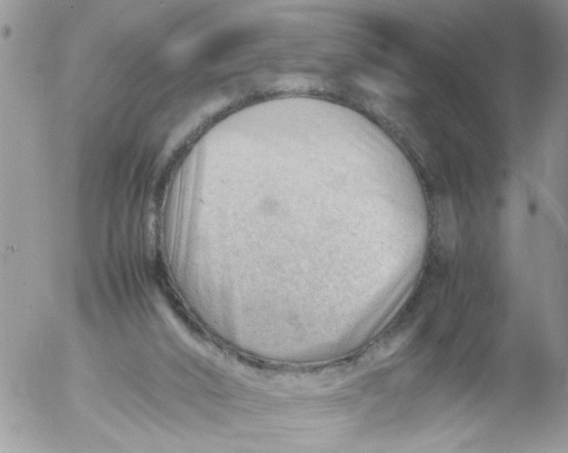 X0000053150016200508012322