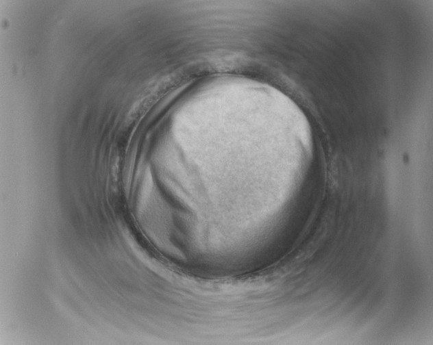 X0000053150018200508012322