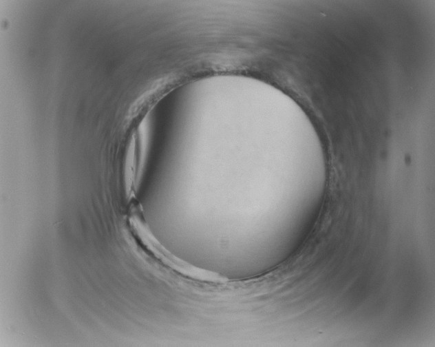 X0000053150019200508012322