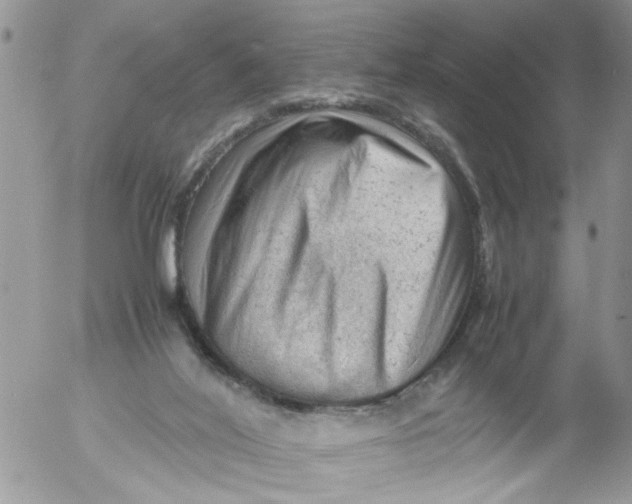 X0000053150020200508012322