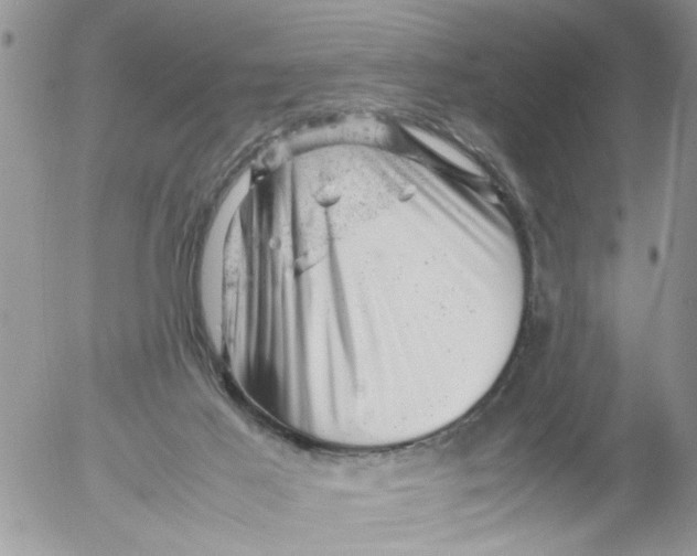 X0000053150021200508012322