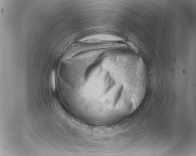 X0000053150022200508012322