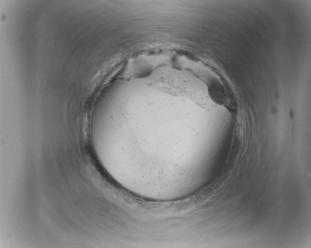 X0000053150023200508012322