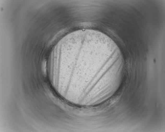 X0000053150024200508012322