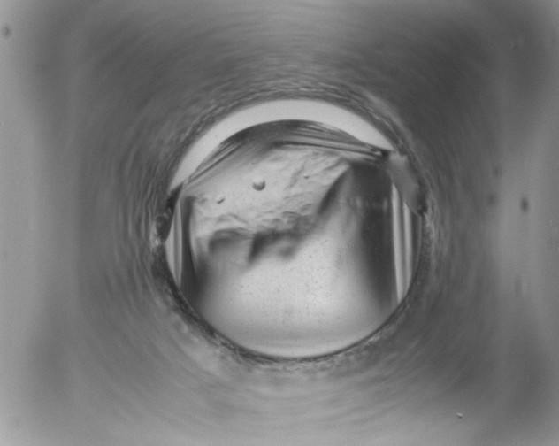 X0000053150025200508012322