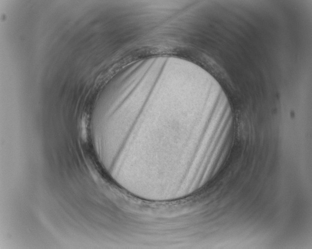 X0000053150026200508012321