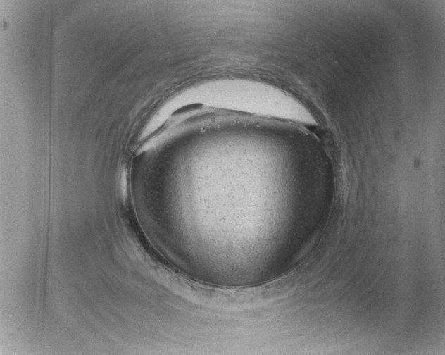 X0000053150027200508012321