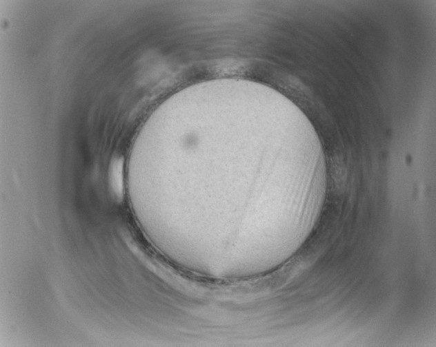 X0000053150028200508012321