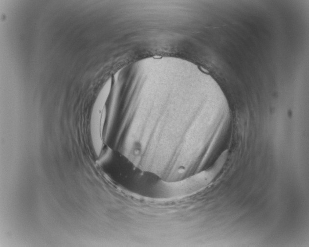 X0000053150029200508012321