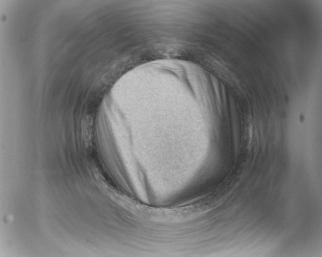 X0000053150030200508012321