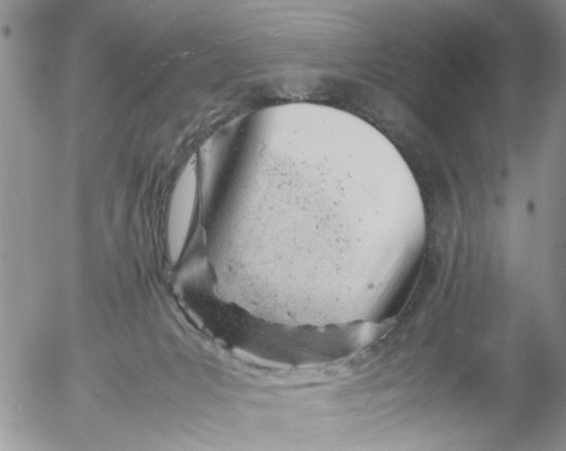 X0000053150031200508012321