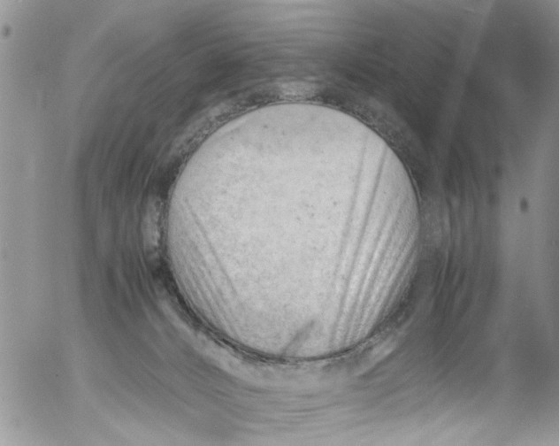 X0000053150032200508012321