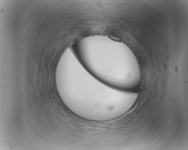 X0000053150033200508012321