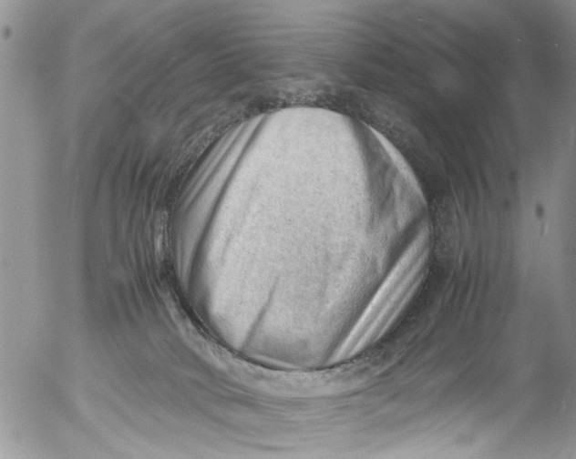 X0000053150034200508012321