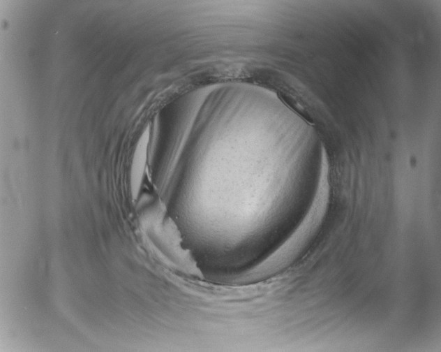 X0000053150035200508012321