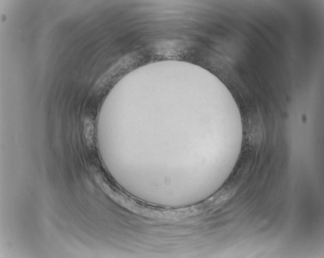 X0000053150036200508012321