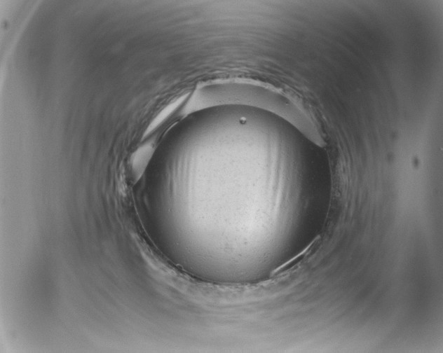 X0000053150037200508012321