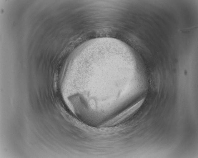 X0000053150038200508012321