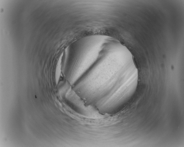 X0000053150039200508012321