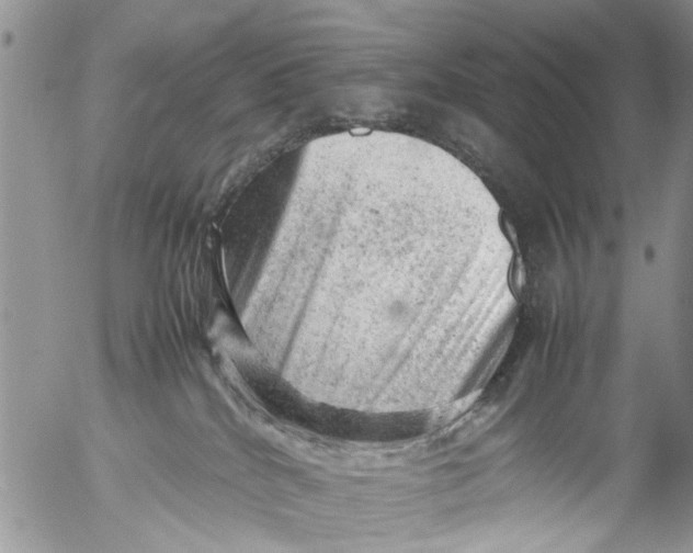 X0000053150040200508012321