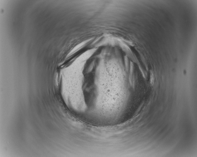 X0000053150041200508012321