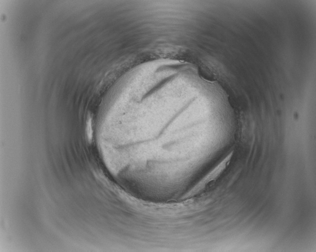 X0000053150042200508012321