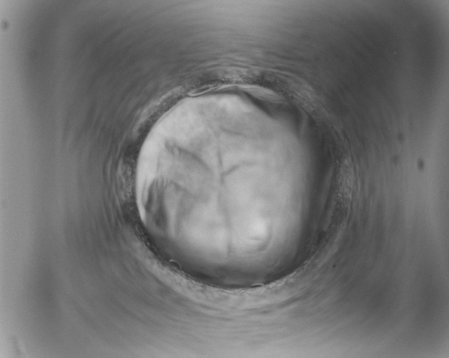 X0000053150043200508012321