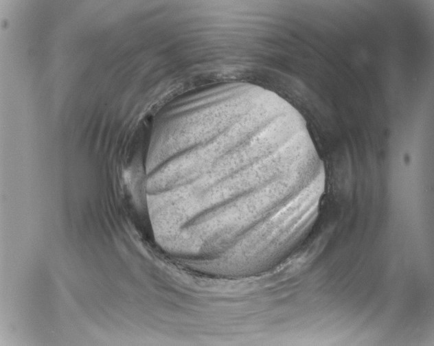 X0000053150044200508012321