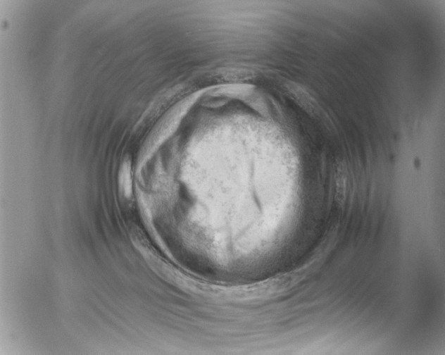 X0000053150046200508012321