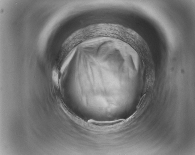 X0000053150047200508012321