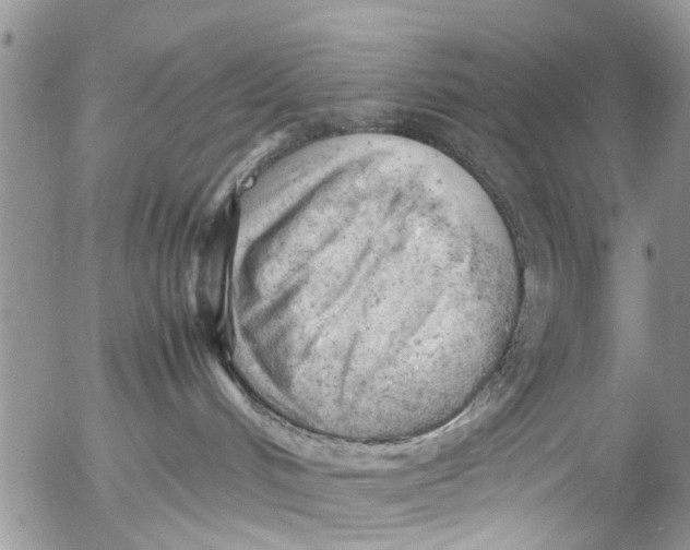 X0000053150048200508012321