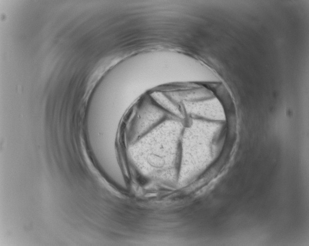 X0000053150049200508012320