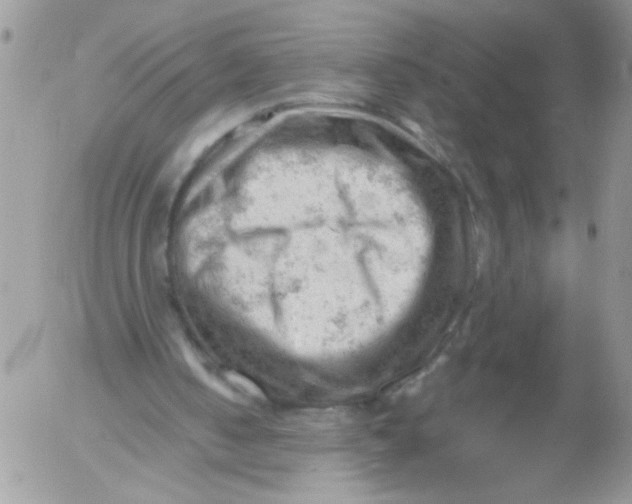 X0000053150050200508012320