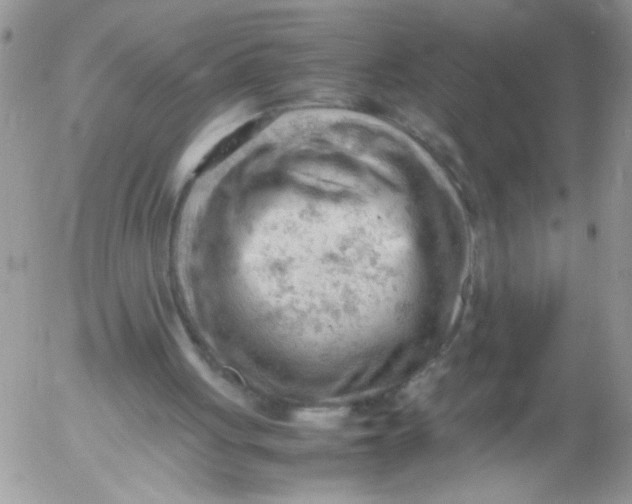 X0000053150051200508012320