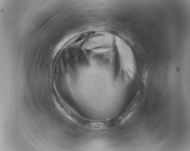 X0000053150052200508012320