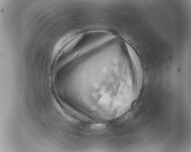 X0000053150053200508012320